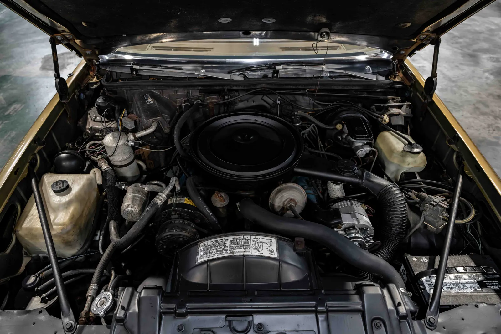 9_1979-Oldsmobile-W30-Black and Gold-536930-45.jpg